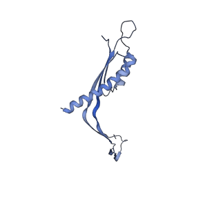 29425_8ftf_EA_v1-0
CryoEM strucutre of 33-mer RBM3 of the Salmonella MS-ring
