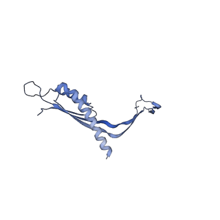 29425_8ftf_E_v1-0
CryoEM strucutre of 33-mer RBM3 of the Salmonella MS-ring