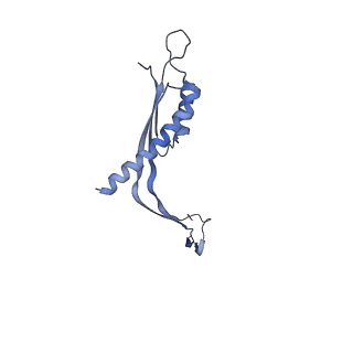 29425_8ftf_FA_v1-0
CryoEM strucutre of 33-mer RBM3 of the Salmonella MS-ring