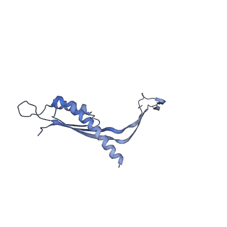 29425_8ftf_F_v1-0
CryoEM strucutre of 33-mer RBM3 of the Salmonella MS-ring