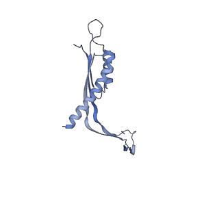 29425_8ftf_GA_v1-0
CryoEM strucutre of 33-mer RBM3 of the Salmonella MS-ring