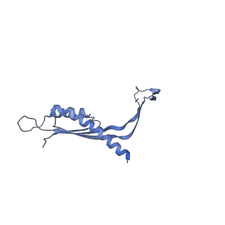 29425_8ftf_G_v1-0
CryoEM strucutre of 33-mer RBM3 of the Salmonella MS-ring