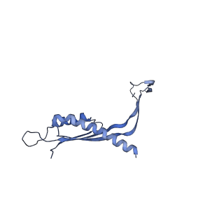 29425_8ftf_H_v1-0
CryoEM strucutre of 33-mer RBM3 of the Salmonella MS-ring