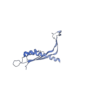 29425_8ftf_I_v1-0
CryoEM strucutre of 33-mer RBM3 of the Salmonella MS-ring