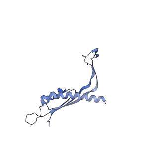 29425_8ftf_J_v1-0
CryoEM strucutre of 33-mer RBM3 of the Salmonella MS-ring