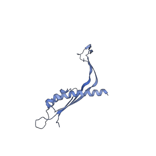 29425_8ftf_K_v1-0
CryoEM strucutre of 33-mer RBM3 of the Salmonella MS-ring