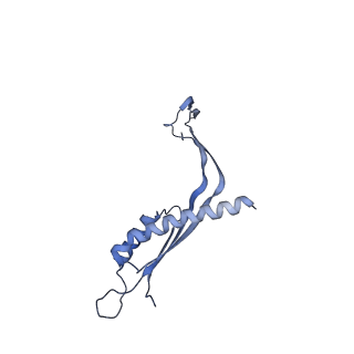 29425_8ftf_L_v1-0
CryoEM strucutre of 33-mer RBM3 of the Salmonella MS-ring