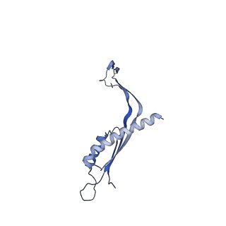 29425_8ftf_M_v1-0
CryoEM strucutre of 33-mer RBM3 of the Salmonella MS-ring