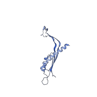 29425_8ftf_N_v1-0
CryoEM strucutre of 33-mer RBM3 of the Salmonella MS-ring