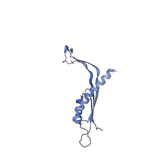 29425_8ftf_O_v1-0
CryoEM strucutre of 33-mer RBM3 of the Salmonella MS-ring