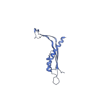 29425_8ftf_P_v1-0
CryoEM strucutre of 33-mer RBM3 of the Salmonella MS-ring