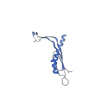 29425_8ftf_Q_v1-0
CryoEM strucutre of 33-mer RBM3 of the Salmonella MS-ring