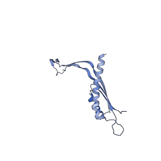 29425_8ftf_R_v1-0
CryoEM strucutre of 33-mer RBM3 of the Salmonella MS-ring