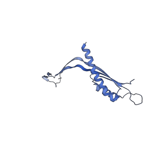 29425_8ftf_V_v1-0
CryoEM strucutre of 33-mer RBM3 of the Salmonella MS-ring