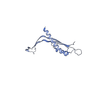 29425_8ftf_W_v1-0
CryoEM strucutre of 33-mer RBM3 of the Salmonella MS-ring