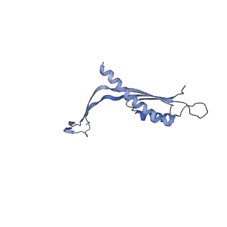 29425_8ftf_X_v1-0
CryoEM strucutre of 33-mer RBM3 of the Salmonella MS-ring