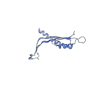 29425_8ftf_Y_v1-0
CryoEM strucutre of 33-mer RBM3 of the Salmonella MS-ring