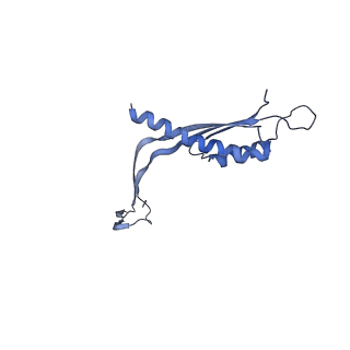 29425_8ftf_Z_v1-0
CryoEM strucutre of 33-mer RBM3 of the Salmonella MS-ring