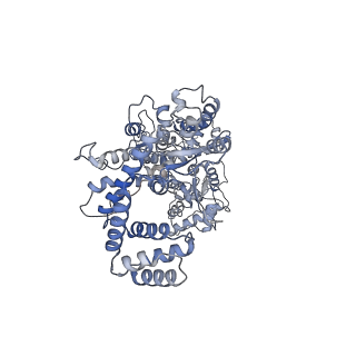 29433_8fti_A_v1-0
Cryo-EM structure of the Cas13bt3-crRNA-target RNA ternary complex in activated state