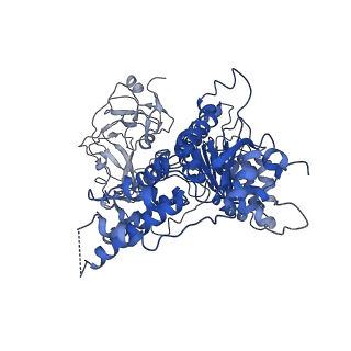 3298_5ftm_A_v1-3
Cryo-EM structure of human p97 bound to ATPgS (Conformation II)