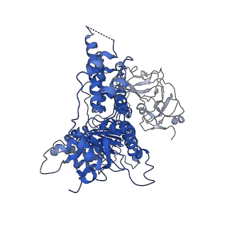 3298_5ftm_C_v1-3
Cryo-EM structure of human p97 bound to ATPgS (Conformation II)
