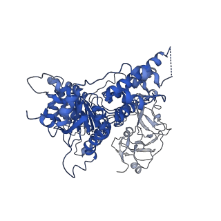 3298_5ftm_D_v1-3
Cryo-EM structure of human p97 bound to ATPgS (Conformation II)