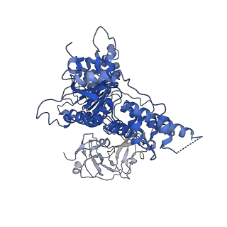 3298_5ftm_E_v1-3
Cryo-EM structure of human p97 bound to ATPgS (Conformation II)