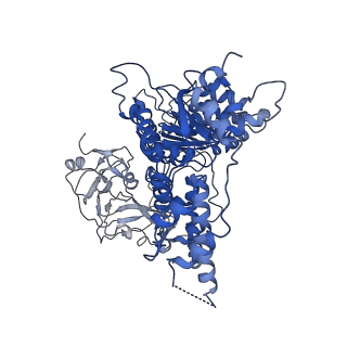 3298_5ftm_F_v1-3
Cryo-EM structure of human p97 bound to ATPgS (Conformation II)