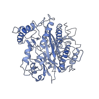 4302_6ft6_4_v1-3
Structure of the Nop53 pre-60S particle bound to the exosome nuclear cofactors