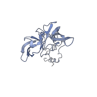 4302_6ft6_A_v1-3
Structure of the Nop53 pre-60S particle bound to the exosome nuclear cofactors