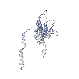 4302_6ft6_D_v1-3
Structure of the Nop53 pre-60S particle bound to the exosome nuclear cofactors