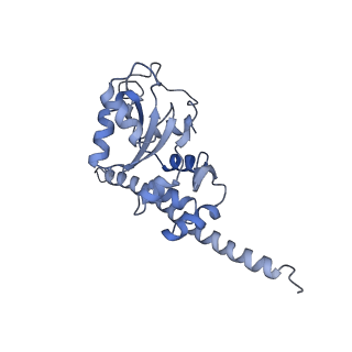 4302_6ft6_F_v1-3
Structure of the Nop53 pre-60S particle bound to the exosome nuclear cofactors
