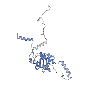 4302_6ft6_G_v1-3
Structure of the Nop53 pre-60S particle bound to the exosome nuclear cofactors