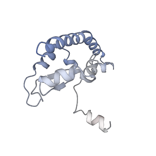 4302_6ft6_I_v1-3
Structure of the Nop53 pre-60S particle bound to the exosome nuclear cofactors