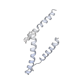4302_6ft6_KK_v1-3
Structure of the Nop53 pre-60S particle bound to the exosome nuclear cofactors