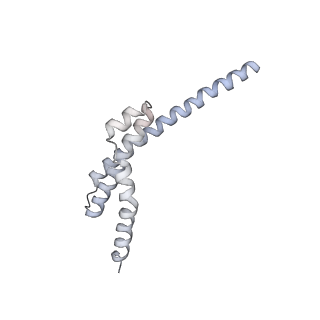 4302_6ft6_LL_v1-3
Structure of the Nop53 pre-60S particle bound to the exosome nuclear cofactors