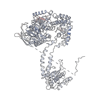4302_6ft6_MM_v1-3
Structure of the Nop53 pre-60S particle bound to the exosome nuclear cofactors