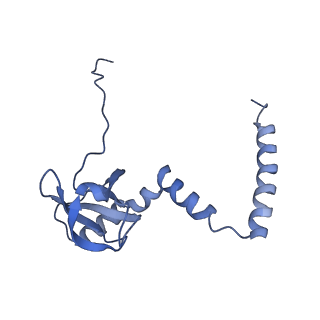 4302_6ft6_M_v1-3
Structure of the Nop53 pre-60S particle bound to the exosome nuclear cofactors