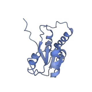 4302_6ft6_Q_v1-3
Structure of the Nop53 pre-60S particle bound to the exosome nuclear cofactors