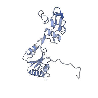 4302_6ft6_W_v1-3
Structure of the Nop53 pre-60S particle bound to the exosome nuclear cofactors