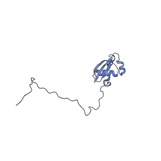 4302_6ft6_X_v1-3
Structure of the Nop53 pre-60S particle bound to the exosome nuclear cofactors