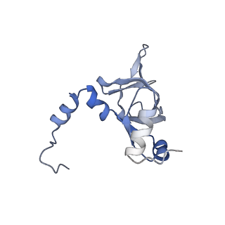 4302_6ft6_Y_v1-3
Structure of the Nop53 pre-60S particle bound to the exosome nuclear cofactors