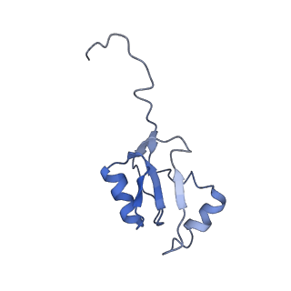 4302_6ft6_a_v1-3
Structure of the Nop53 pre-60S particle bound to the exosome nuclear cofactors
