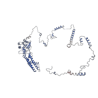 4302_6ft6_b_v1-3
Structure of the Nop53 pre-60S particle bound to the exosome nuclear cofactors