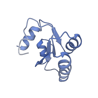 4302_6ft6_c_v1-3
Structure of the Nop53 pre-60S particle bound to the exosome nuclear cofactors