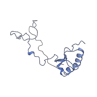 4302_6ft6_e_v1-3
Structure of the Nop53 pre-60S particle bound to the exosome nuclear cofactors