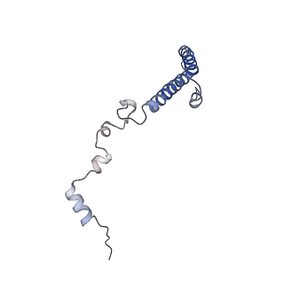 4302_6ft6_h_v1-3
Structure of the Nop53 pre-60S particle bound to the exosome nuclear cofactors