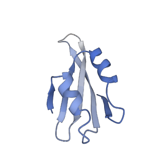 4302_6ft6_k_v1-3
Structure of the Nop53 pre-60S particle bound to the exosome nuclear cofactors