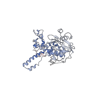 4302_6ft6_n_v1-3
Structure of the Nop53 pre-60S particle bound to the exosome nuclear cofactors