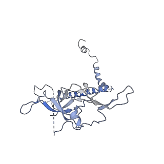 4302_6ft6_r_v1-3
Structure of the Nop53 pre-60S particle bound to the exosome nuclear cofactors